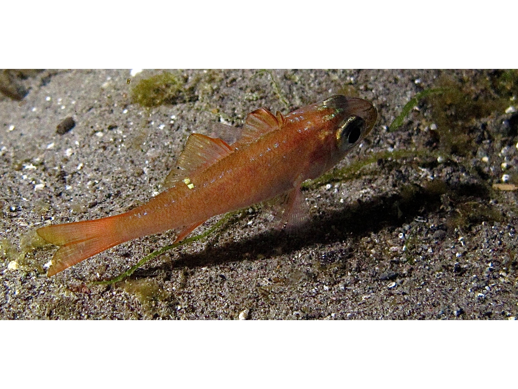 IMG_6770 (1) IMG_6770 (1)